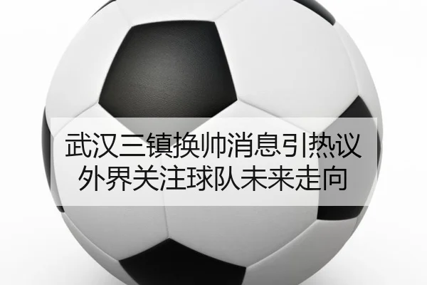 武汉三镇换帅消息引热议 外界关注球队未来走向